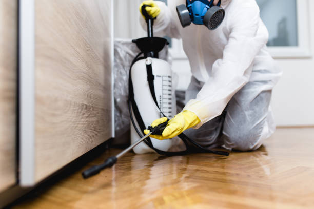 Best Cockroach Control Services  in Napoleon, OH