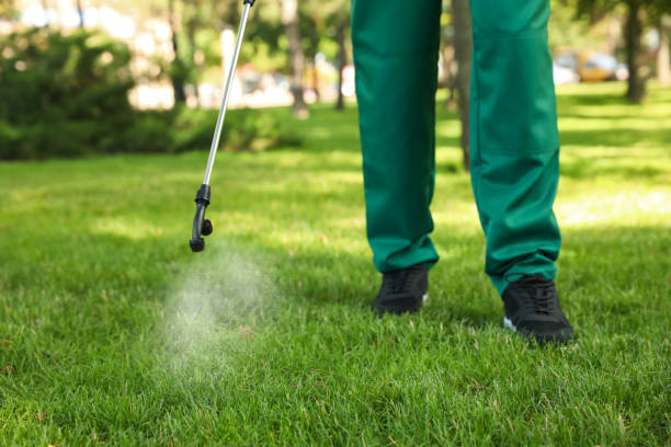 Best Emergency Pest Control  in Napoleon, OH
