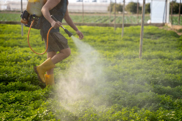 Professional Pest Control in Napoleon, OH