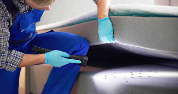 Best Pest Removal Services  in Napoleon, OH