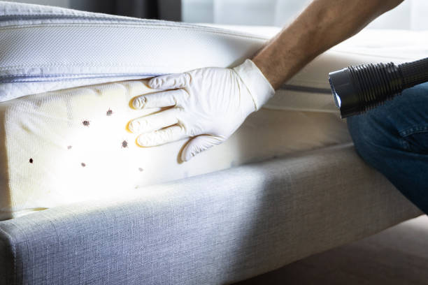 Best Pest Prevention Services  in Napoleon, OH