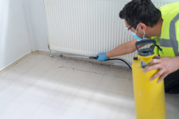 Best Exterminator Services  in Napoleon, OH