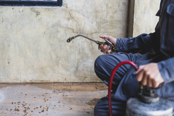 Best Best Pest Control Companies  in Napoleon, OH